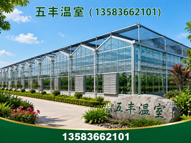 临朐县大棚建设展示图