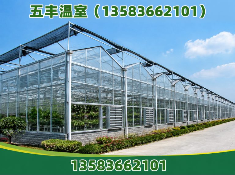 临朐县连栋温室展示图