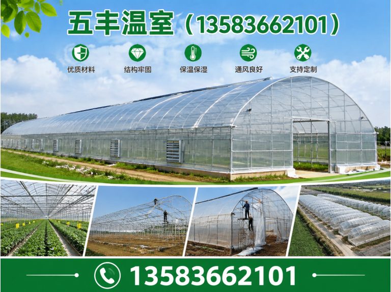 临朐县温室工程展示图